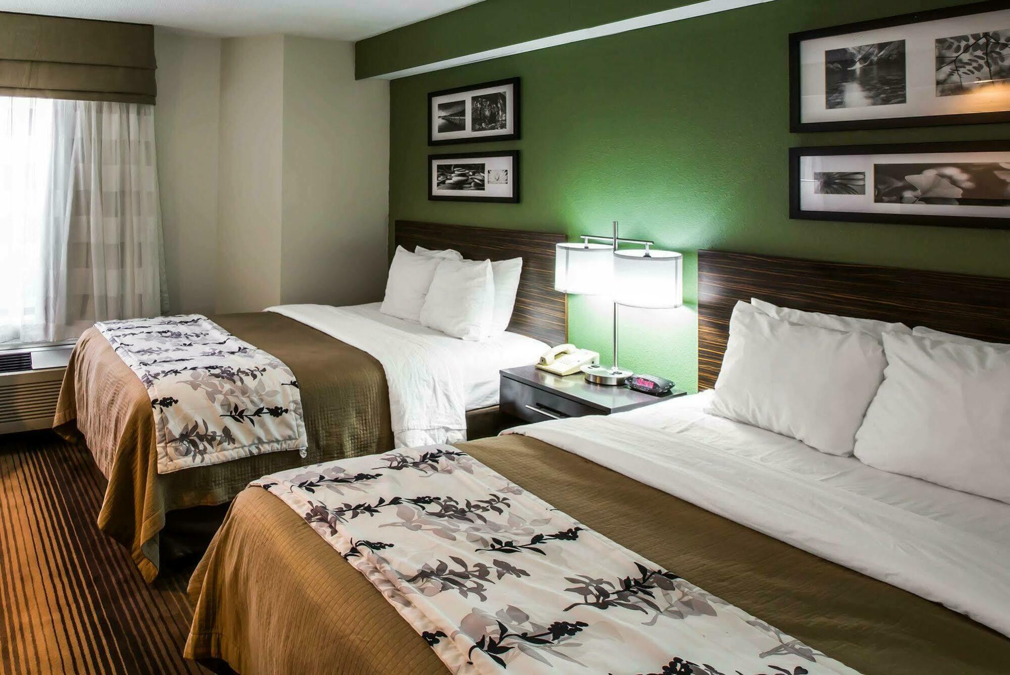 Sleep Inn & Suites Kingsport Tricities Airport Extérieur photo